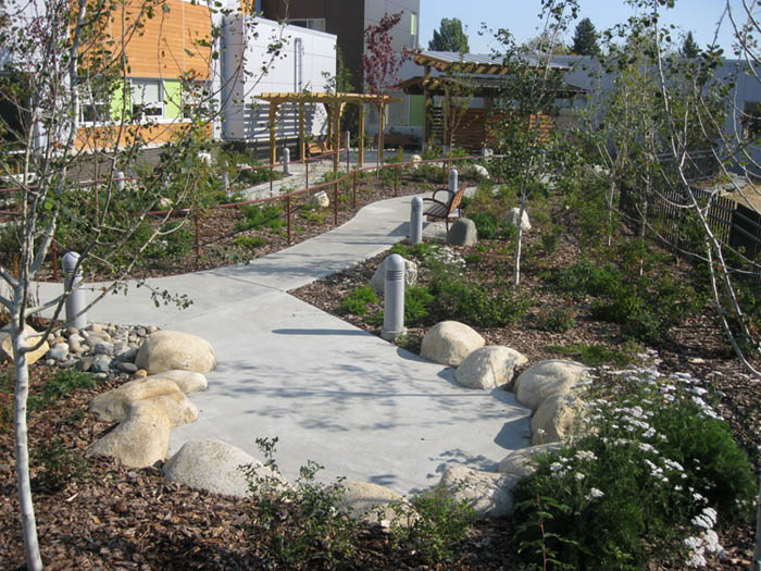 Therapeutic Garden